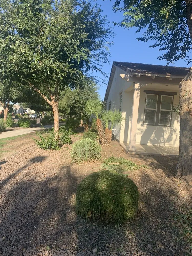 Reliable landscaping services in Surprise, AZ by Meza Landscaping