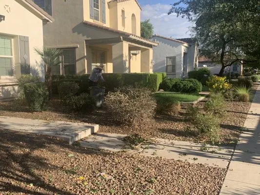 Meza Landscaping Logo