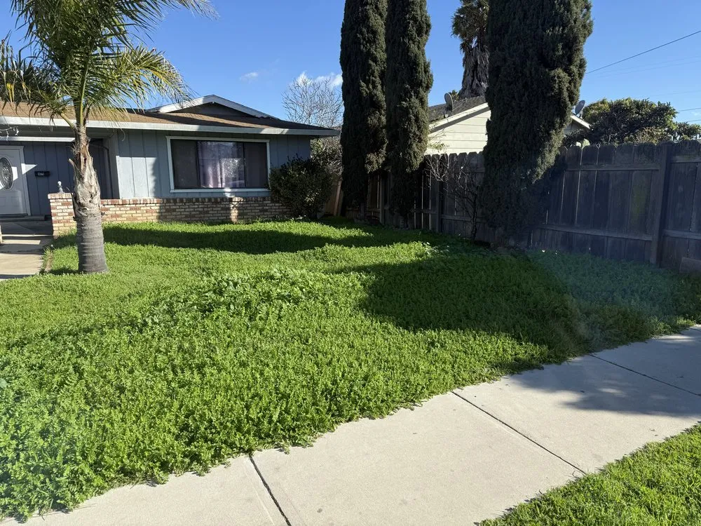 Professional landscape installation experts serving Soledad, CA - Meza Lawn & Garden