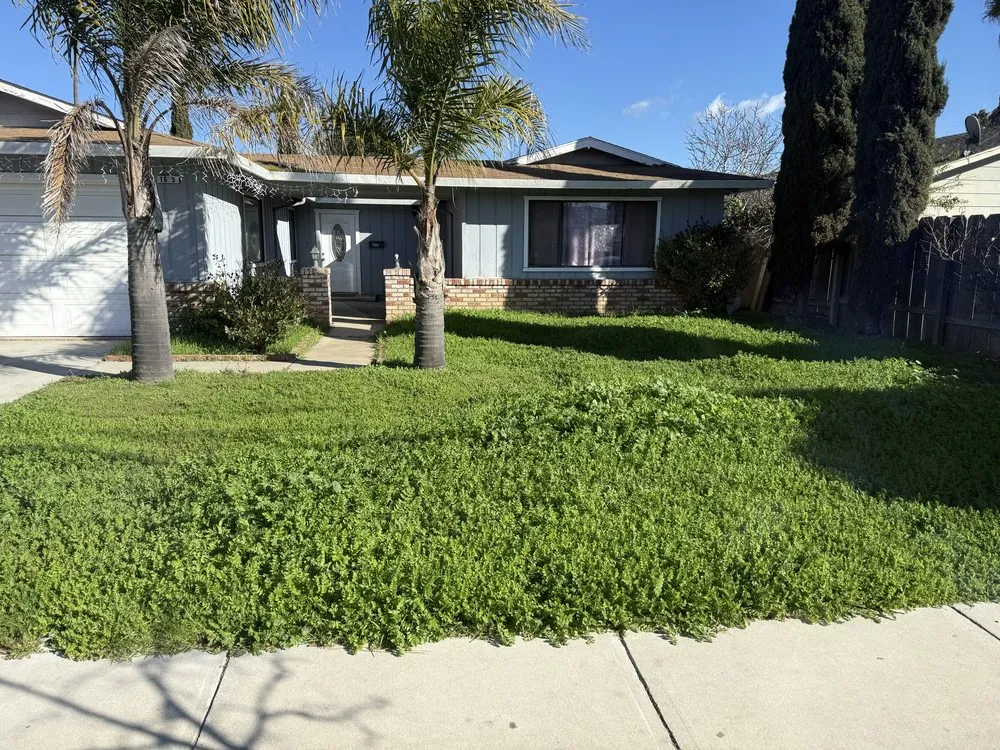 Reliable landscaping services experts serving Soledad, CA - Meza Lawn & Garden