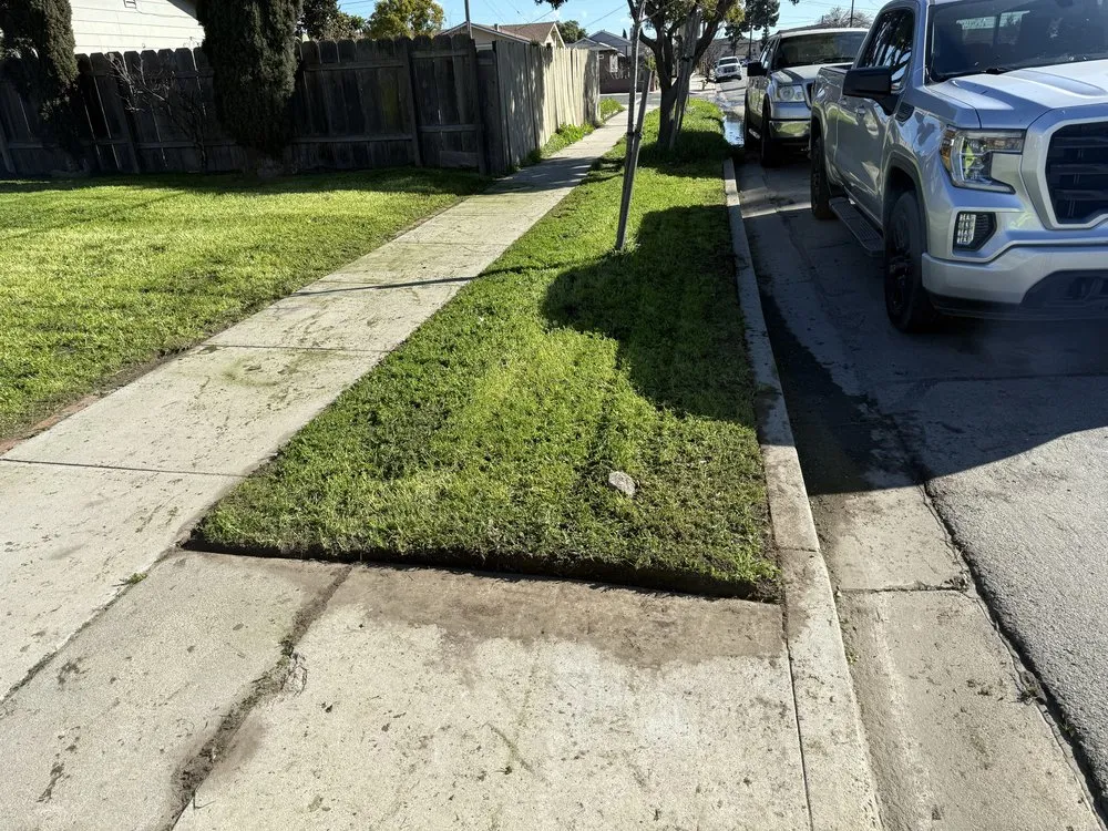 Professional landscape design in Soledad, CA - Meza Lawn & Garden