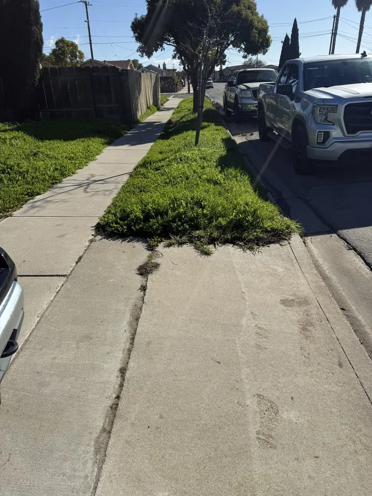 Custom landscape installation in Soledad, CA by Meza Lawn & Garden