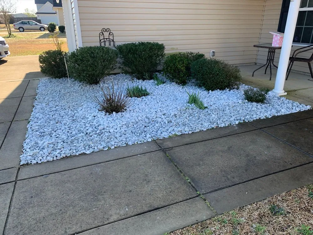 Top-rated lawn mowing service experts serving Fayetteville, NC - Meza's