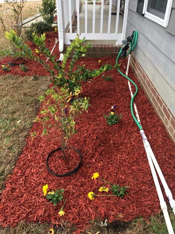 Expert landscaping services in Fayetteville, NC - Mezas Landscaping