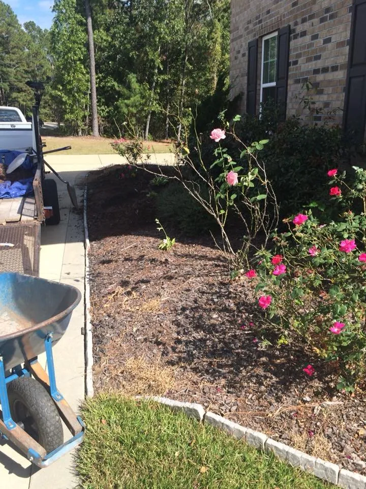 Affordable garden landscaping for year-round maintenance across Fayetteville, NC - Mezas Landscaping