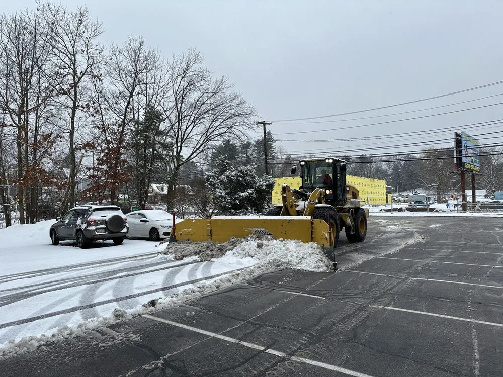 Local yard maintenance experts serving Wellesley, MA - MF Landscape & Design