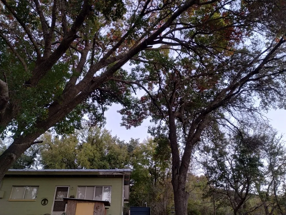 Reliable outdoor landscaping experts serving Liberty Hill, TX - M.F Landscape Pro