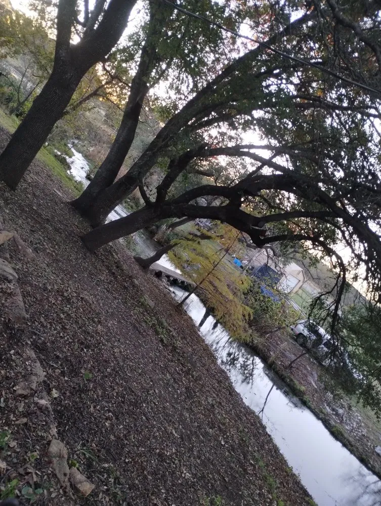 Affordable landscaping services in Liberty Hill, TX - M.F Landscape Pro