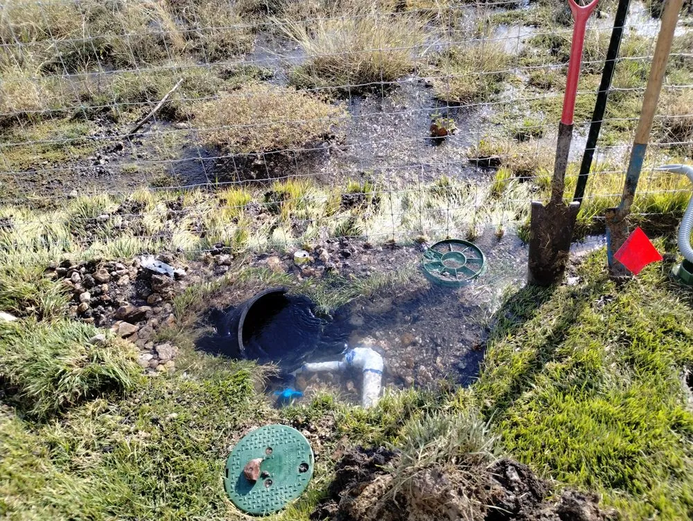 Top-rated garden landscaping experts serving Liberty Hill, TX - M.F Landscape Pro