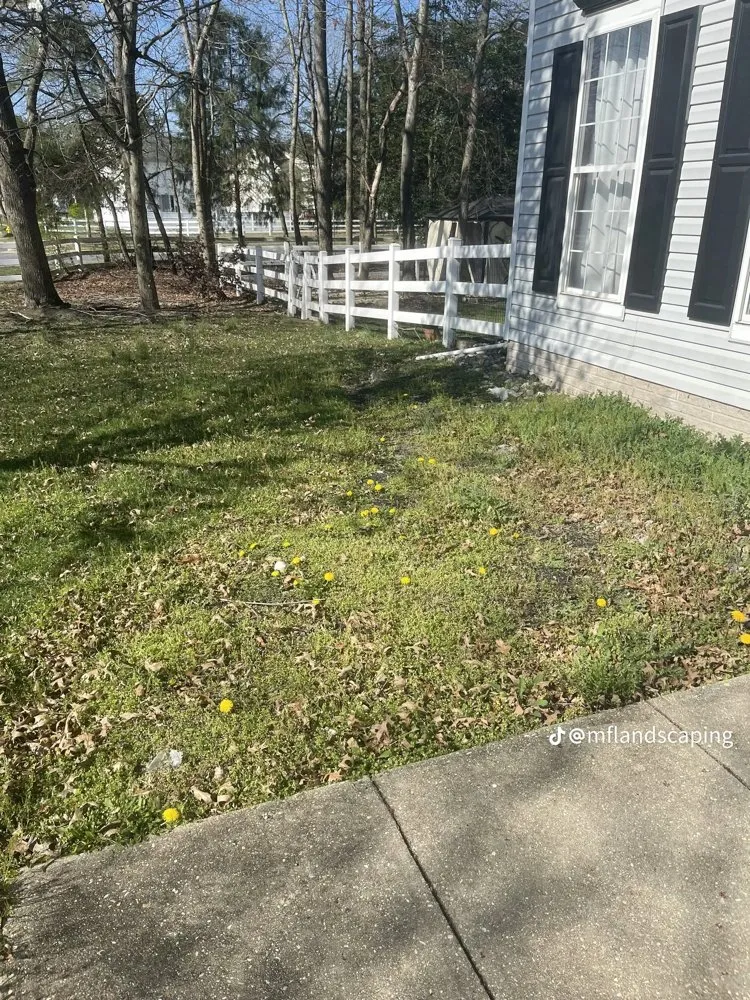 Professional yard maintenance experts serving Alexandria, VA - M&F Landscaping