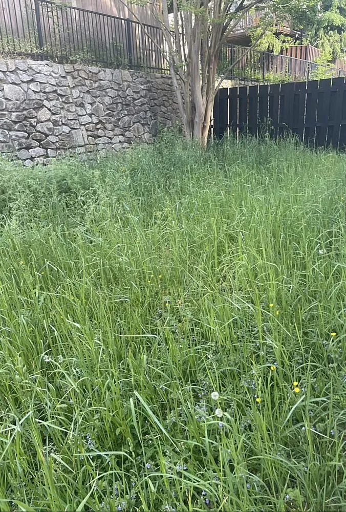 Professional landscape design for outdoor upgrades in Alexandria, VA by M&F Landscaping