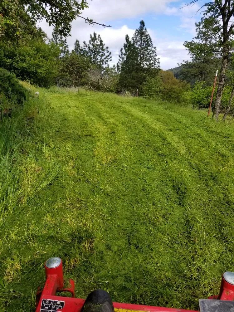 Trusted residential landscaping for homes across Eagle Point, OR - MF Products & Services