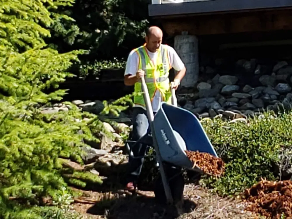 Top-rated landscaping services experts serving Eagle Point, OR - MF Products & Services