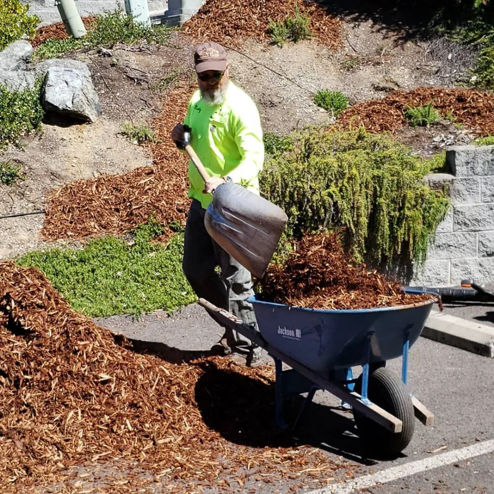 Top-rated residential landscaping experts serving Eagle Point, OR - MF Products & Services