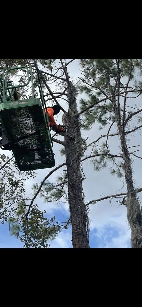 Reliable lawn care service in Haines City, FL - MF Service Group