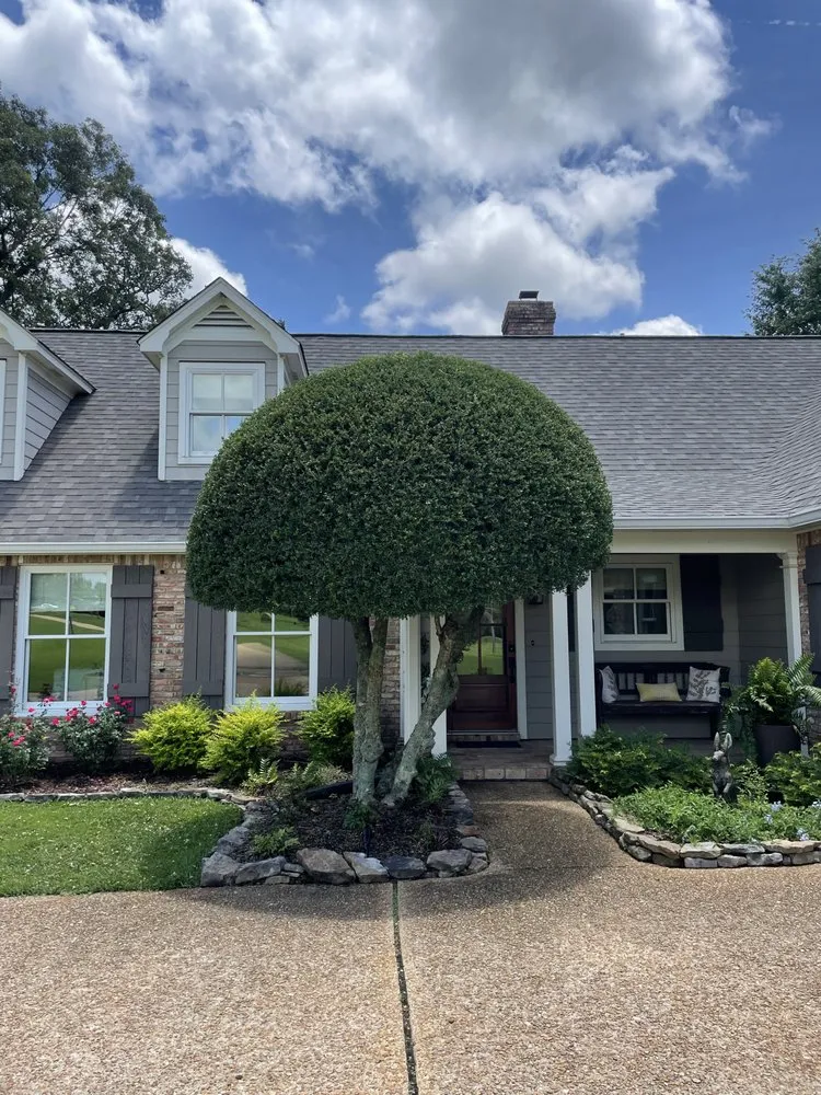 Custom lawn care service for homes in Richland, MS by MFI Landscaping & Construction