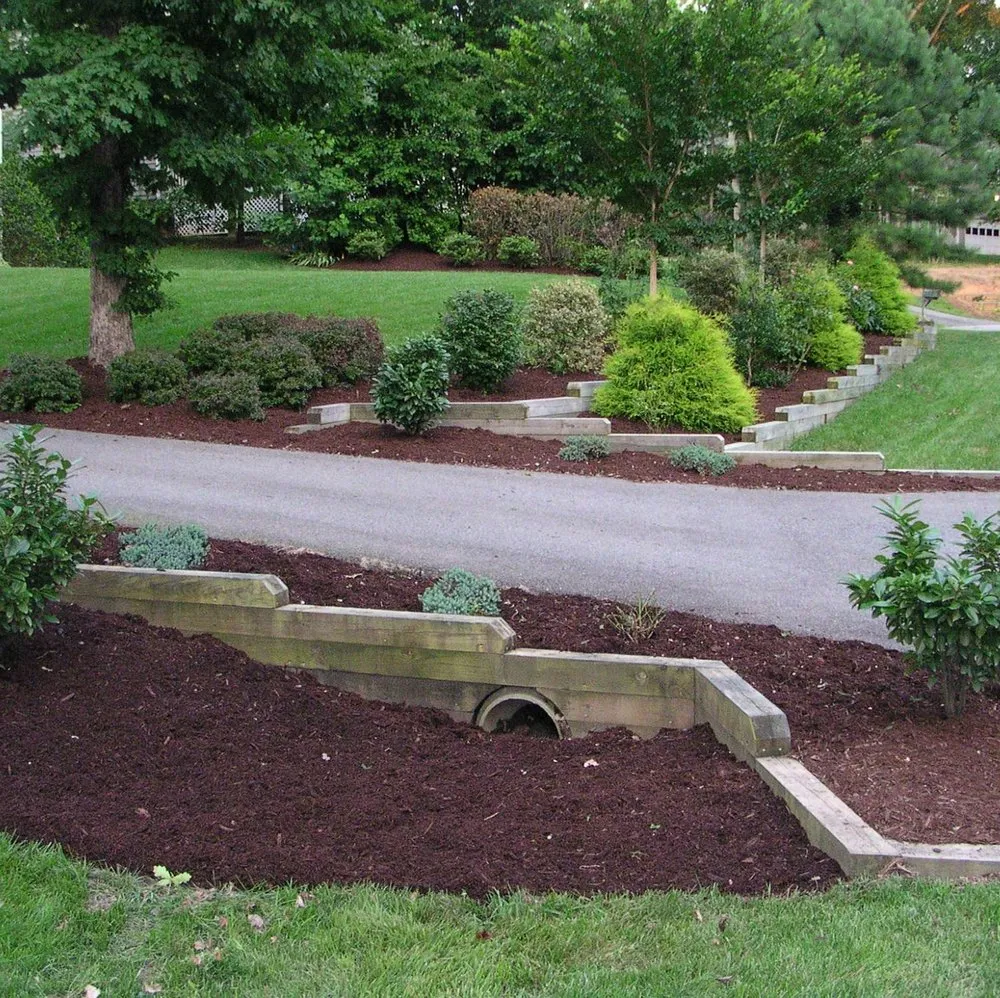 Trusted yard cleanup service for beautiful yards across Bon Air, VA - M.f.j
