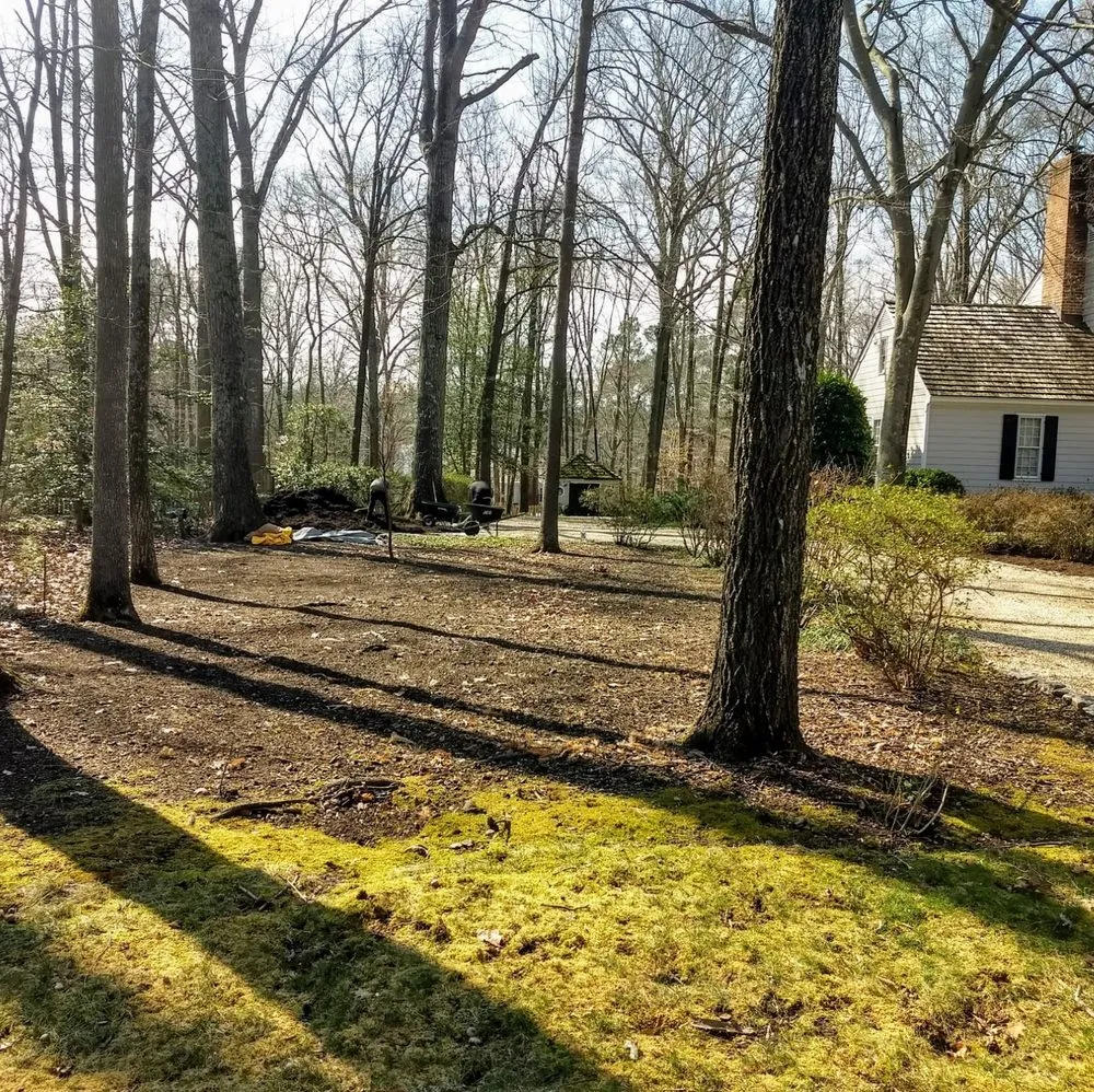 Expert yard maintenance experts serving Bon Air, VA - M.f.j