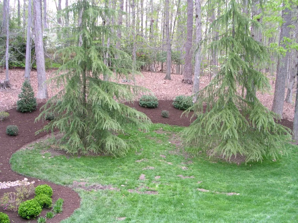Professional outdoor landscaping in Bon Air, VA by M.f.j