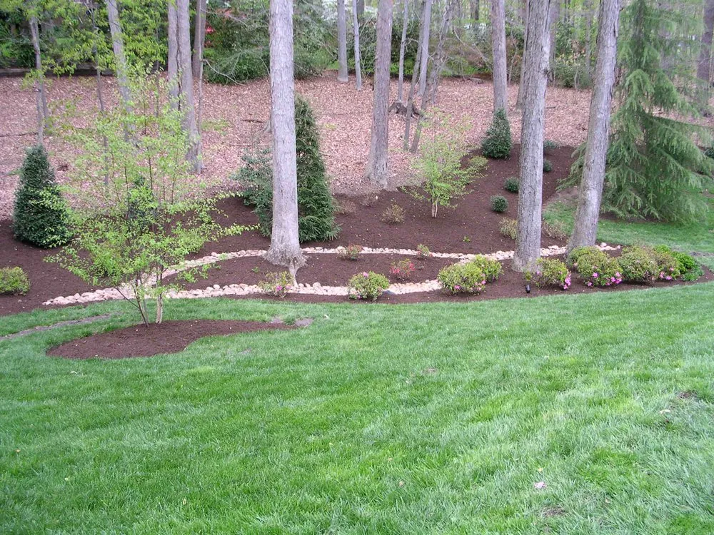 Affordable yard cleanup service in Bon Air, VA by M.f.j