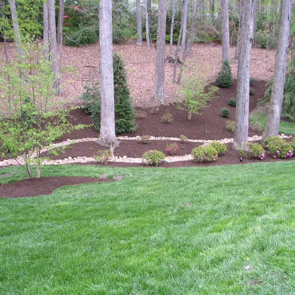 Reliable lawn mowing service with custom design across Bon Air, VA - M.f.j