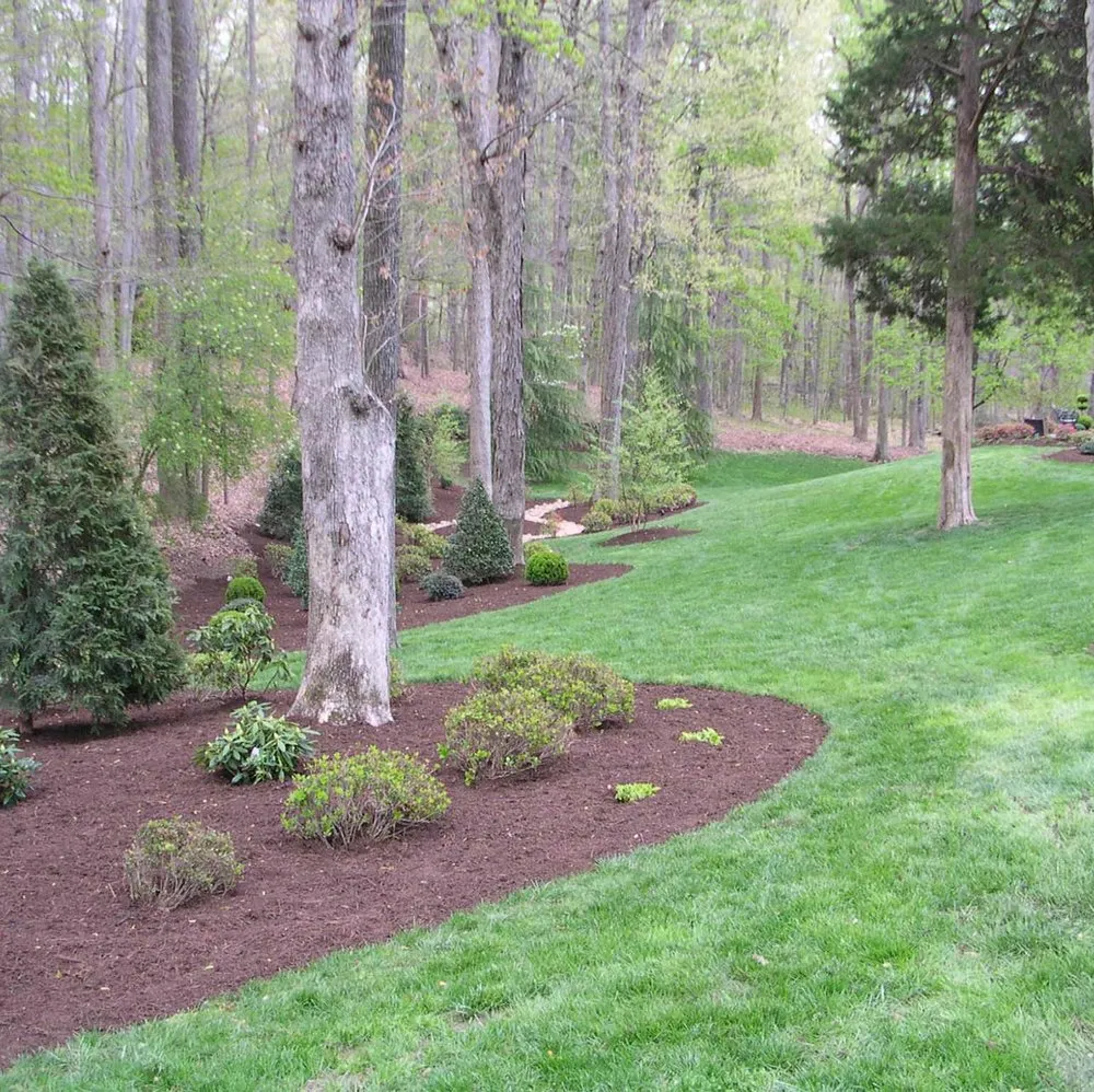 Reliable yard maintenance experts serving Bon Air, VA - M.f.j