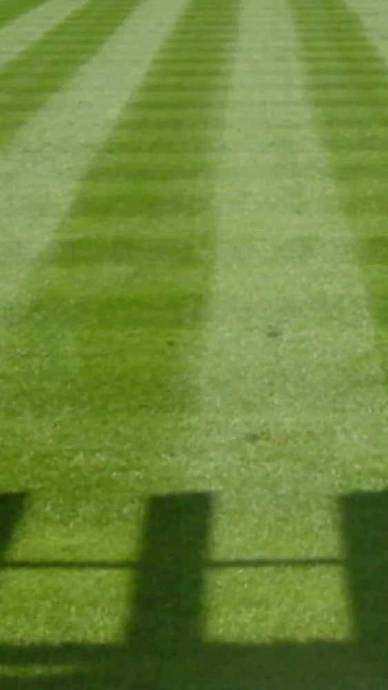 Local lawn care service experts serving Old Tappan, NJ - MFP Landscaping