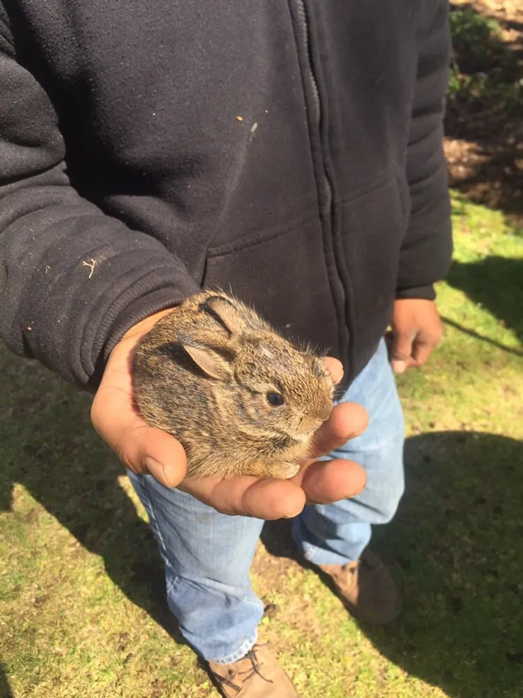 Reliable landscaping services in Old Tappan, NJ by MFP Landscaping