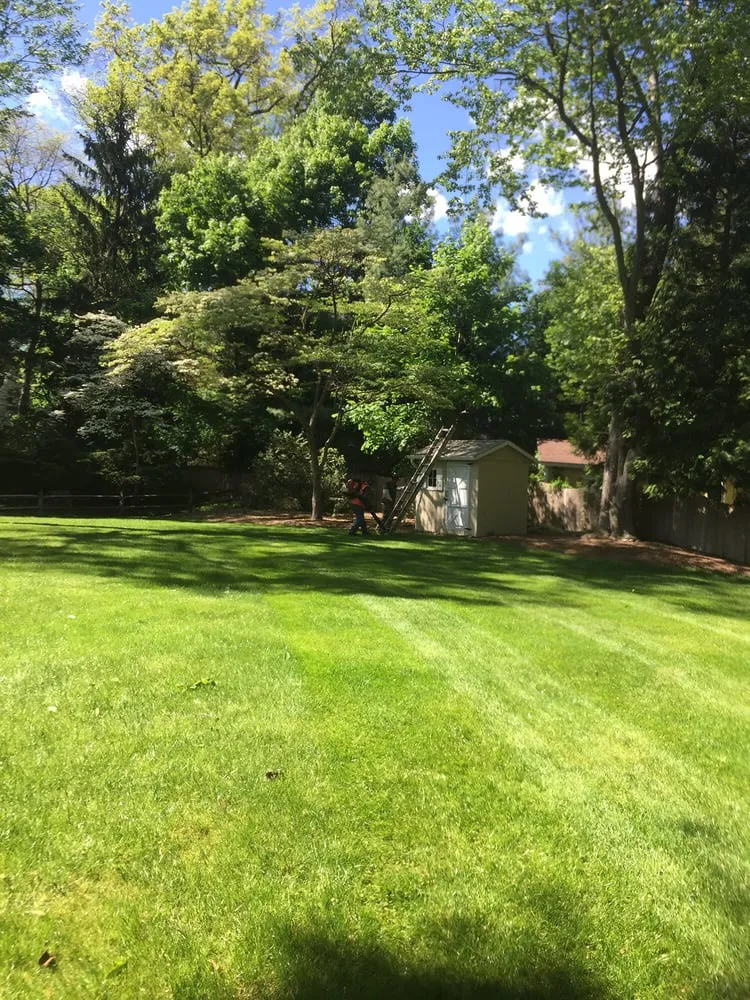 Reliable yard cleanup service in Old Tappan, NJ by MFP Landscaping