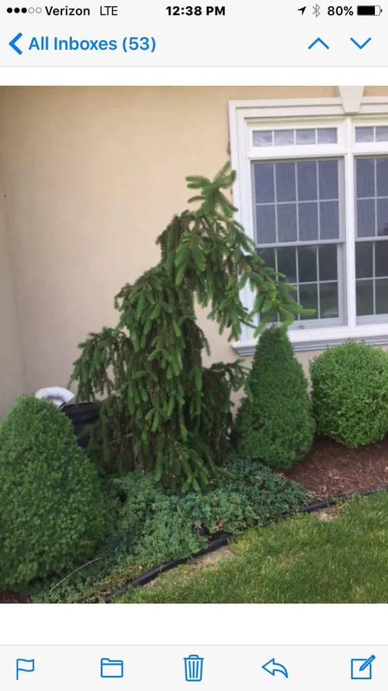 Custom landscape installation experts serving Old Tappan, NJ - MFP Landscaping