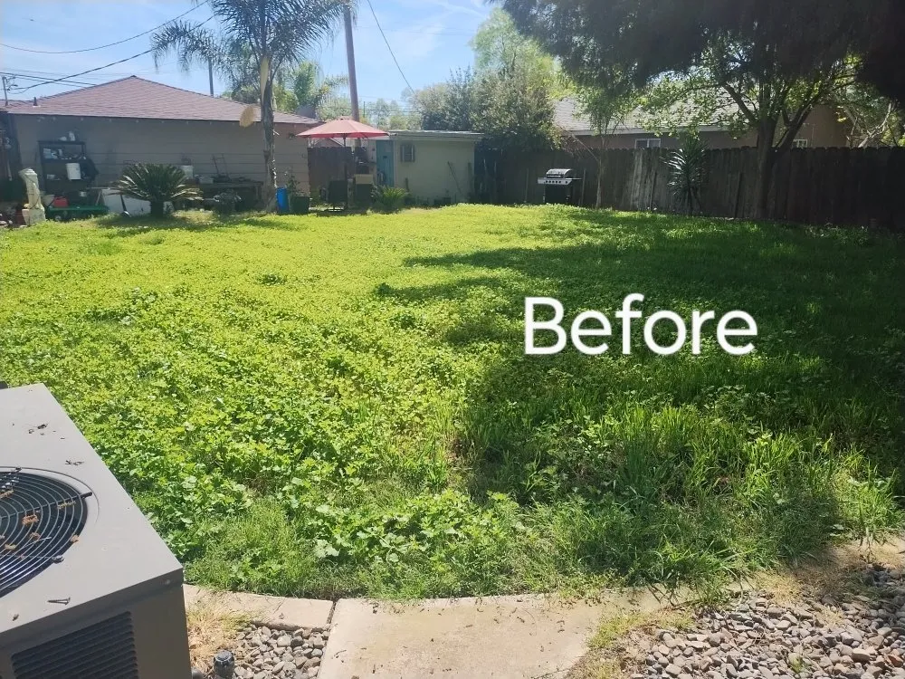 Trusted outdoor landscaping for homes across Hanford, CA - MFP Lawnmowing