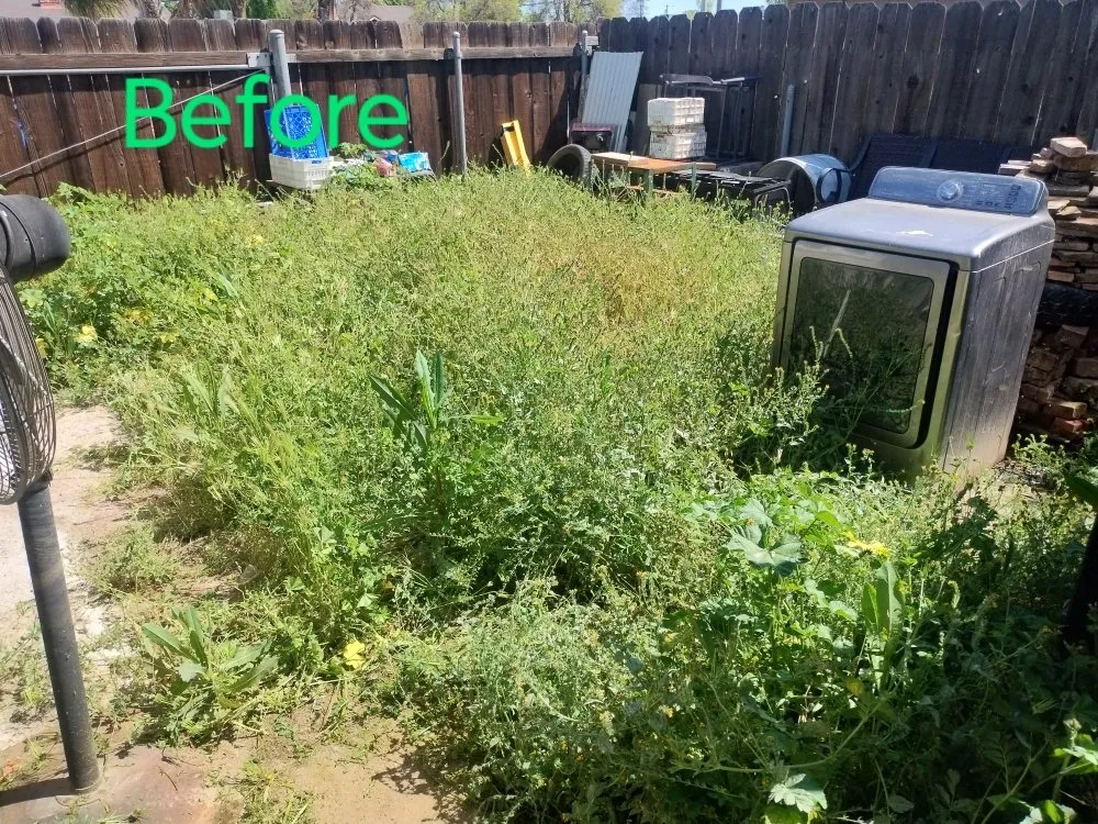 Reliable landscape design in Hanford, CA by MFP Lawnmowing