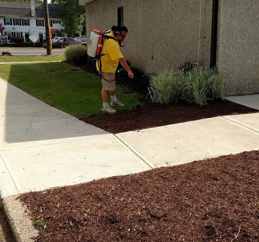 Expert residential landscaping for outdoor upgrades across Newington, CT - MFR Property Services