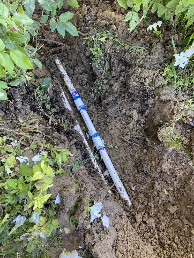 Professional yard cleanup service in La Habra, CA by MG Empire Landscape