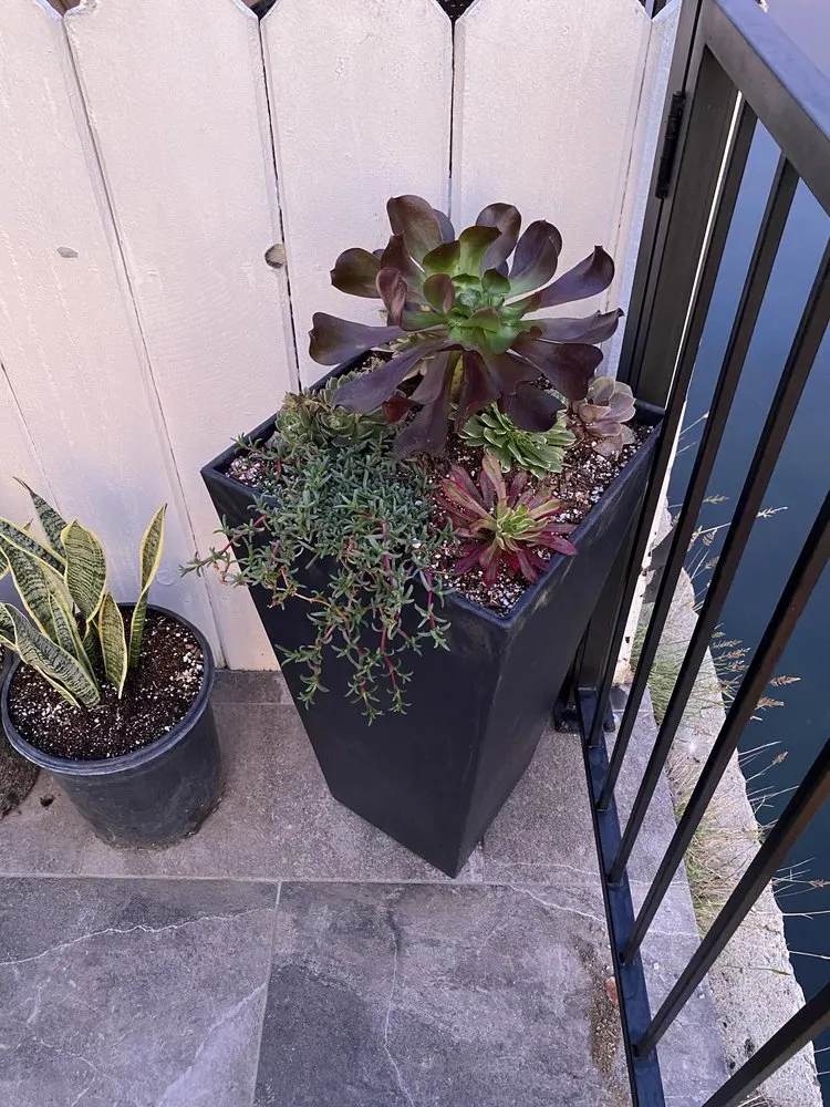 Affordable landscape installation with custom design across La Habra, CA - MG Empire Landscape