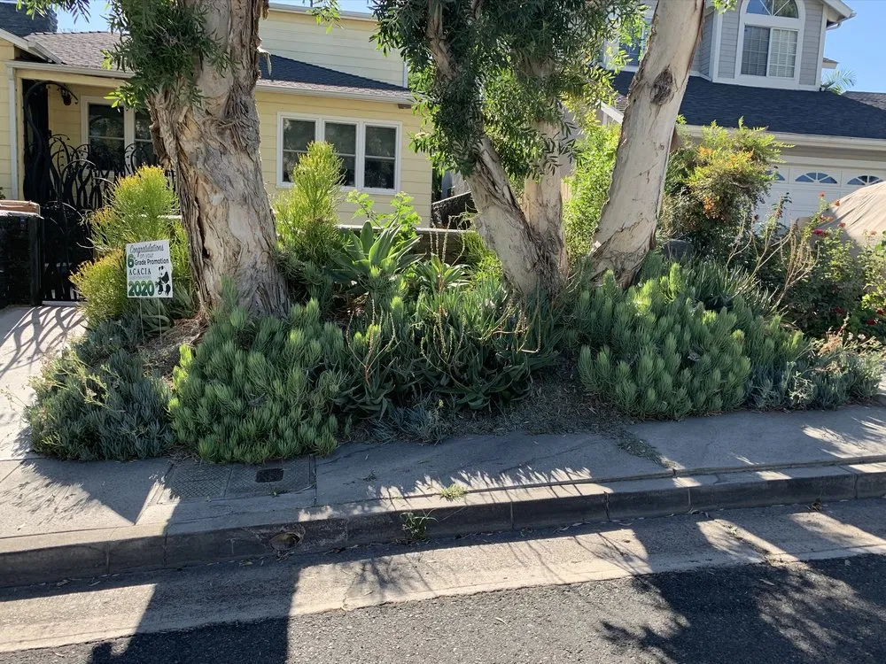 Expert landscape design in La Habra, CA by MG Empire Landscape