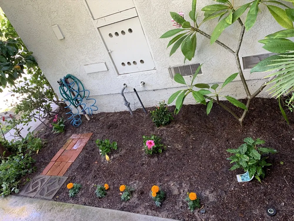 Affordable landscape design for residential properties in La Habra, CA by MG Empire Landscape