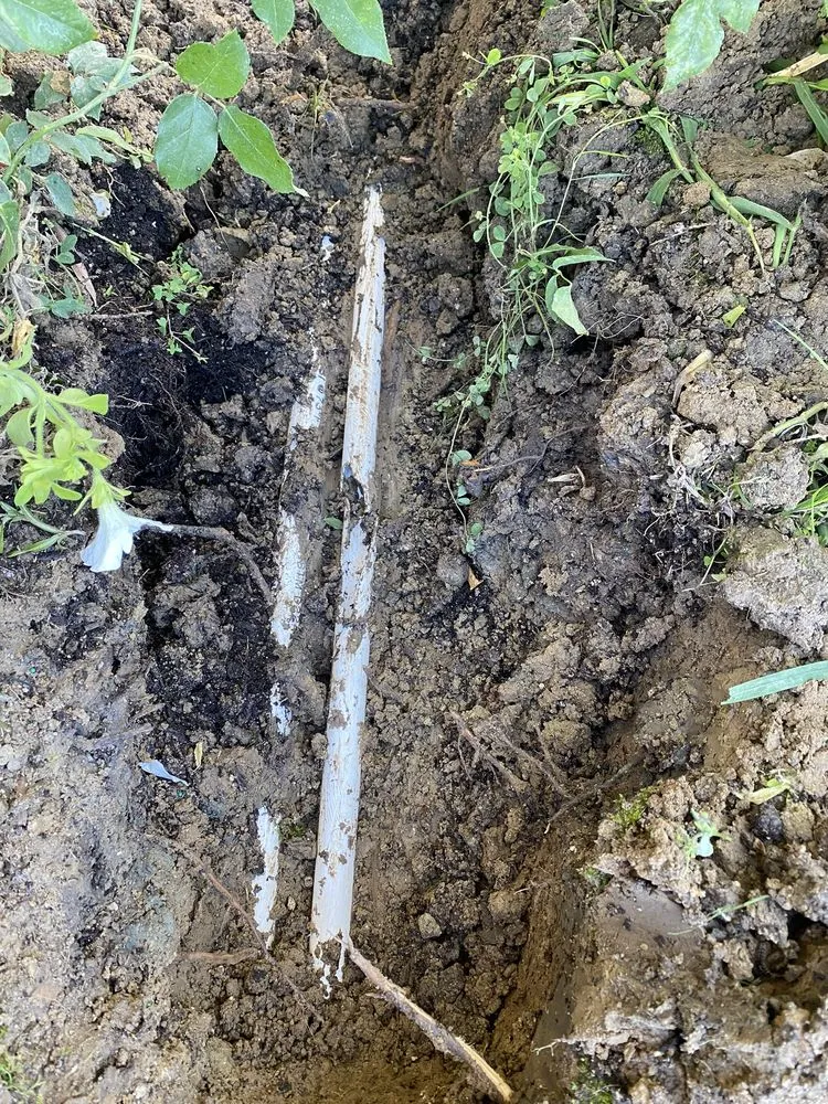 Top-rated landscape installation in La Habra, CA by MG Empire Landscape