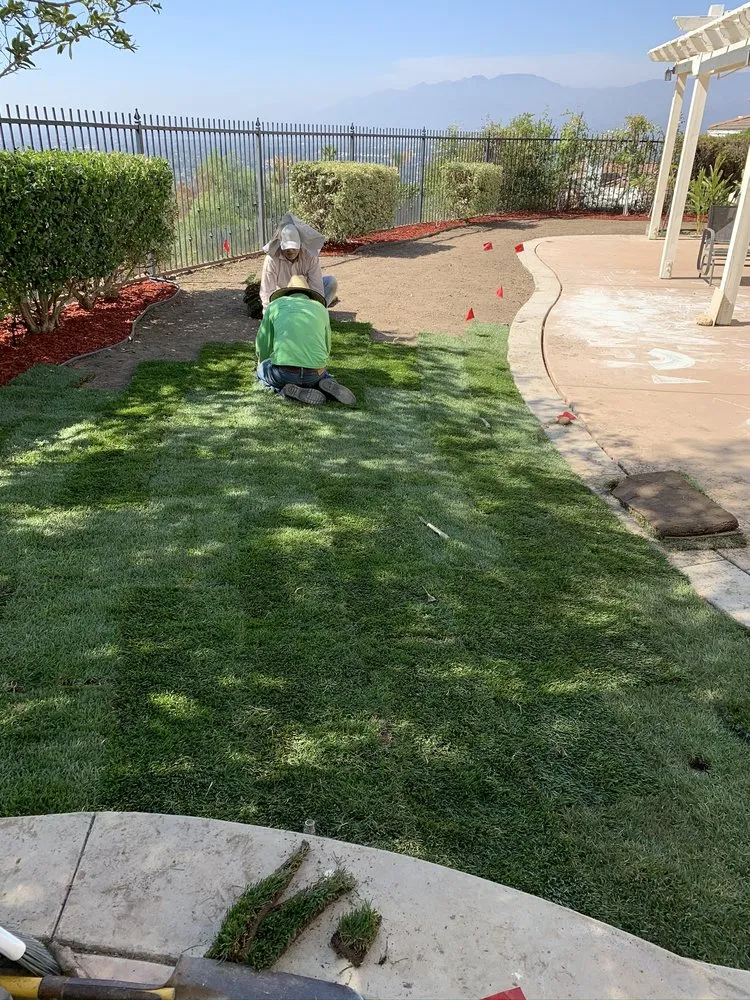 Affordable lawn mowing service experts serving La Habra, CA - MG Empire Landscape