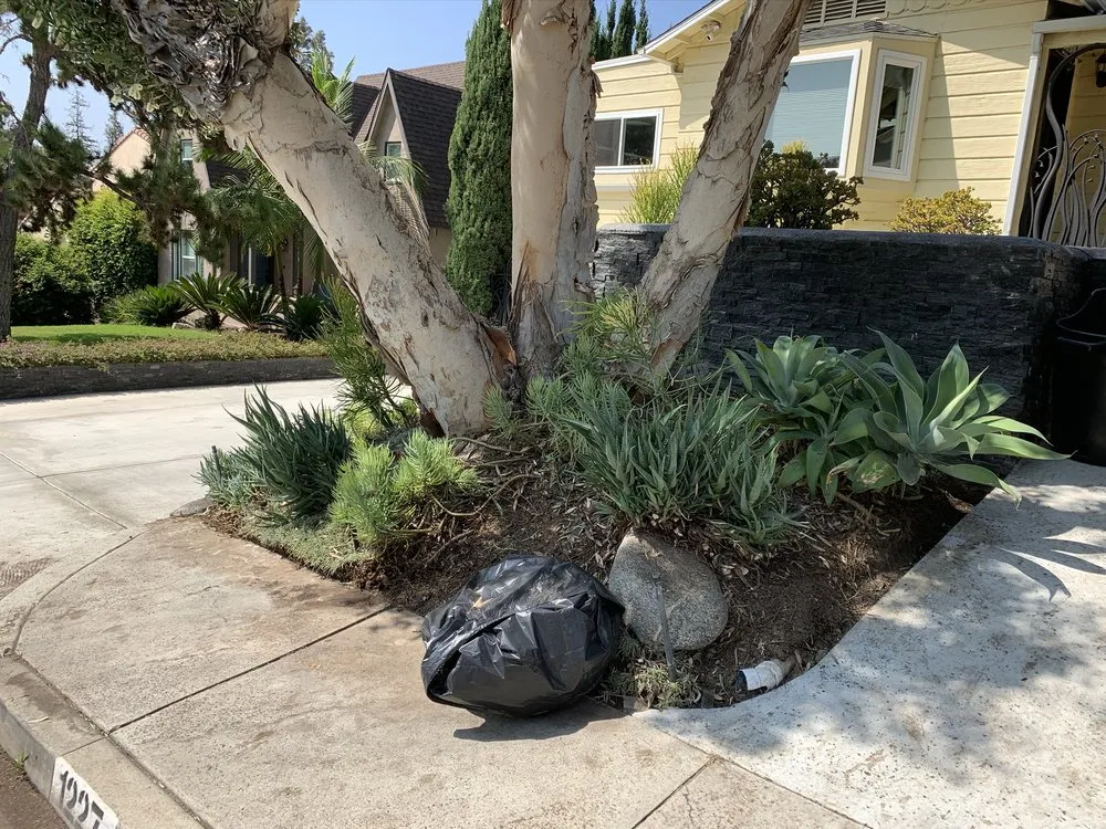 Reliable outdoor landscaping for residential properties in La Habra, CA by MG Empire Landscape