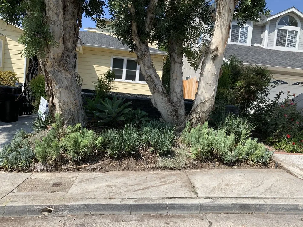 Affordable residential landscaping for outdoor upgrades in La Habra, CA by MG Empire Landscape