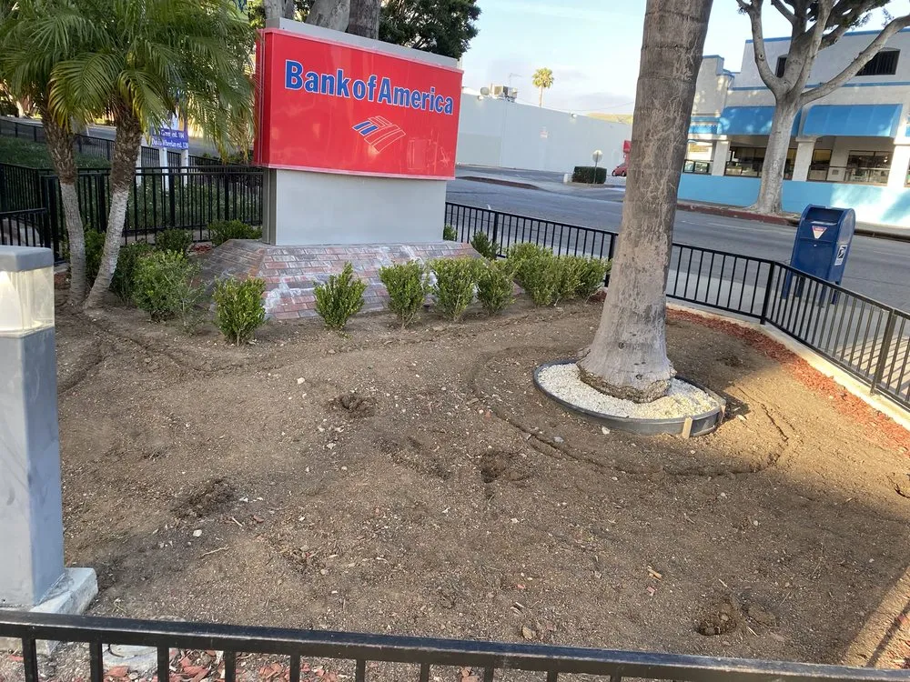 Custom yard maintenance in La Habra, CA - MG Empire Landscape