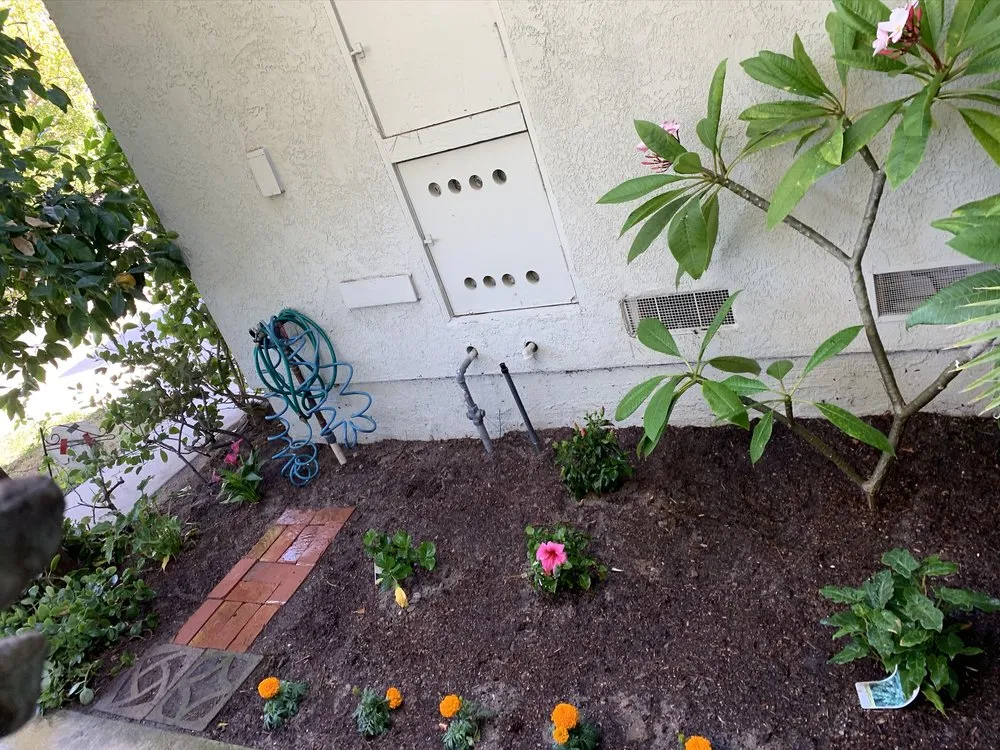 Local landscape design for year-round maintenance in La Habra, CA by MG Empire Landscape