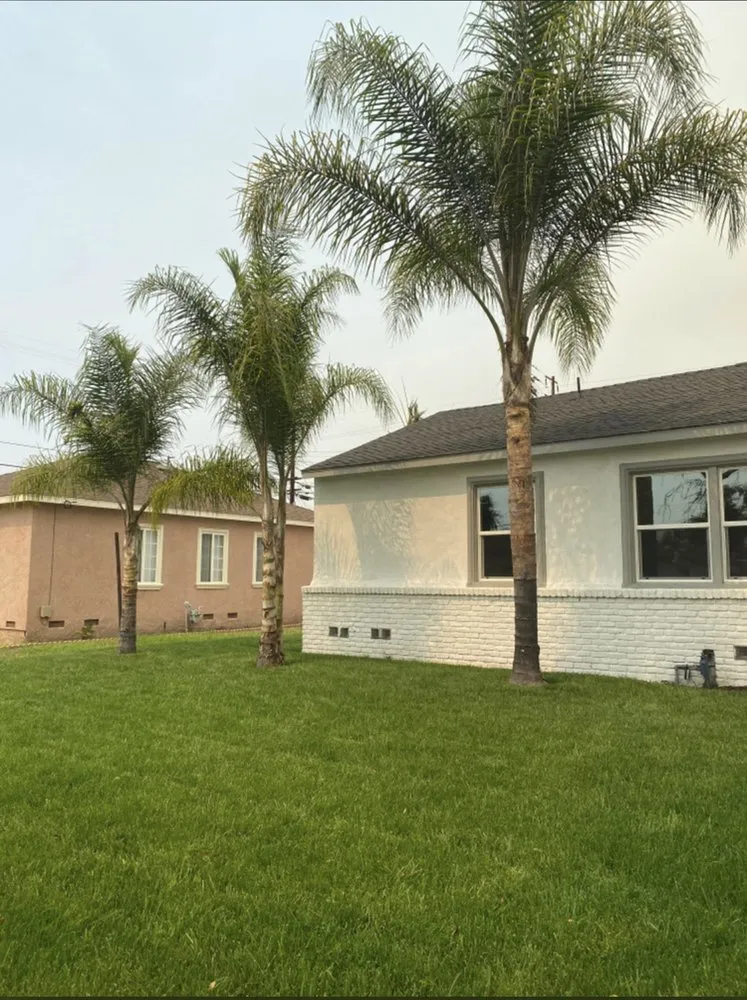 Top-rated residential landscaping experts serving La Habra, CA - MG Empire Landscape