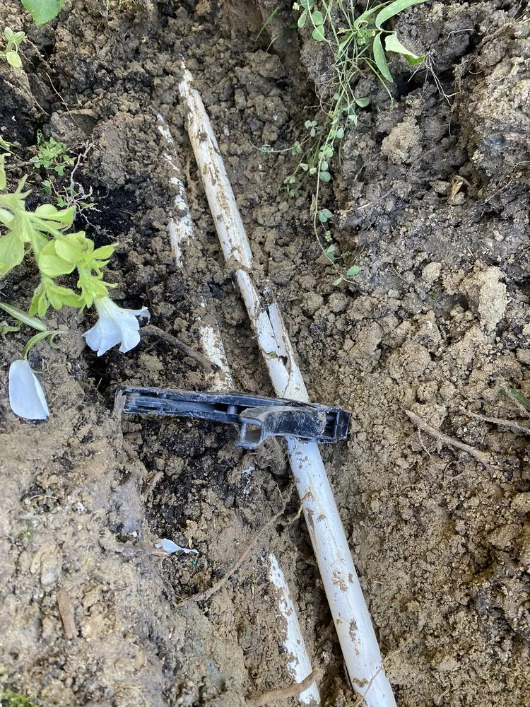 Affordable yard cleanup service experts serving La Habra, CA - MG Empire Landscape