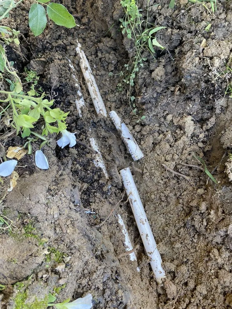 Professional landscape installation in La Habra, CA - MG Empire Landscape