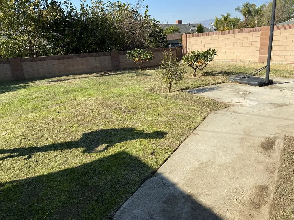 Expert yard maintenance in La Habra, CA by MG Empire Landscape