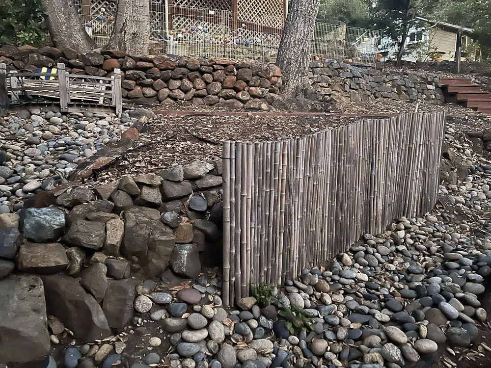 Professional yard cleanup service in San José, CA - M&G Garden Service and Clean Up