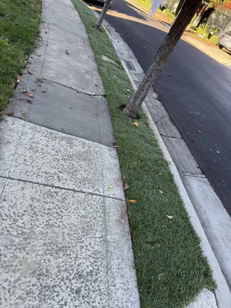 Expert outdoor landscaping for year-round maintenance in San José, CA by M&G Garden Service and Clean Up