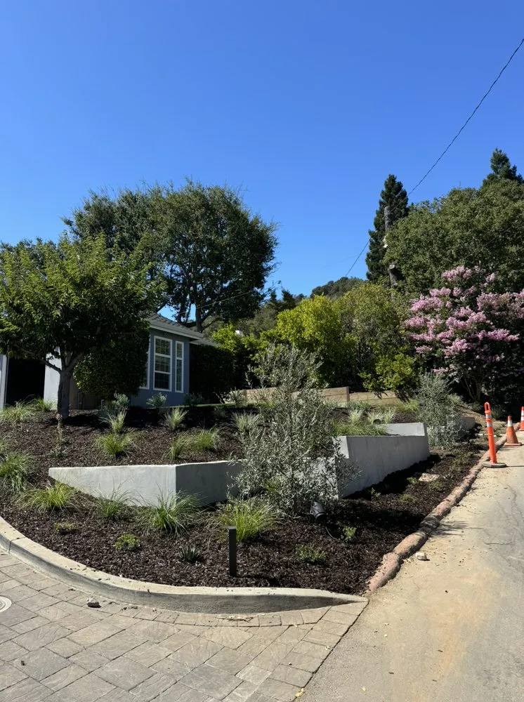 Reliable landscaping services in San José, CA - M&G Garden Service and Clean Up